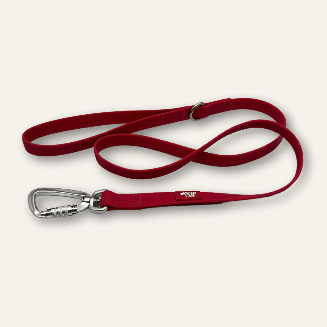 Twiggy Tags Tidal Lead 120cm - Fresia