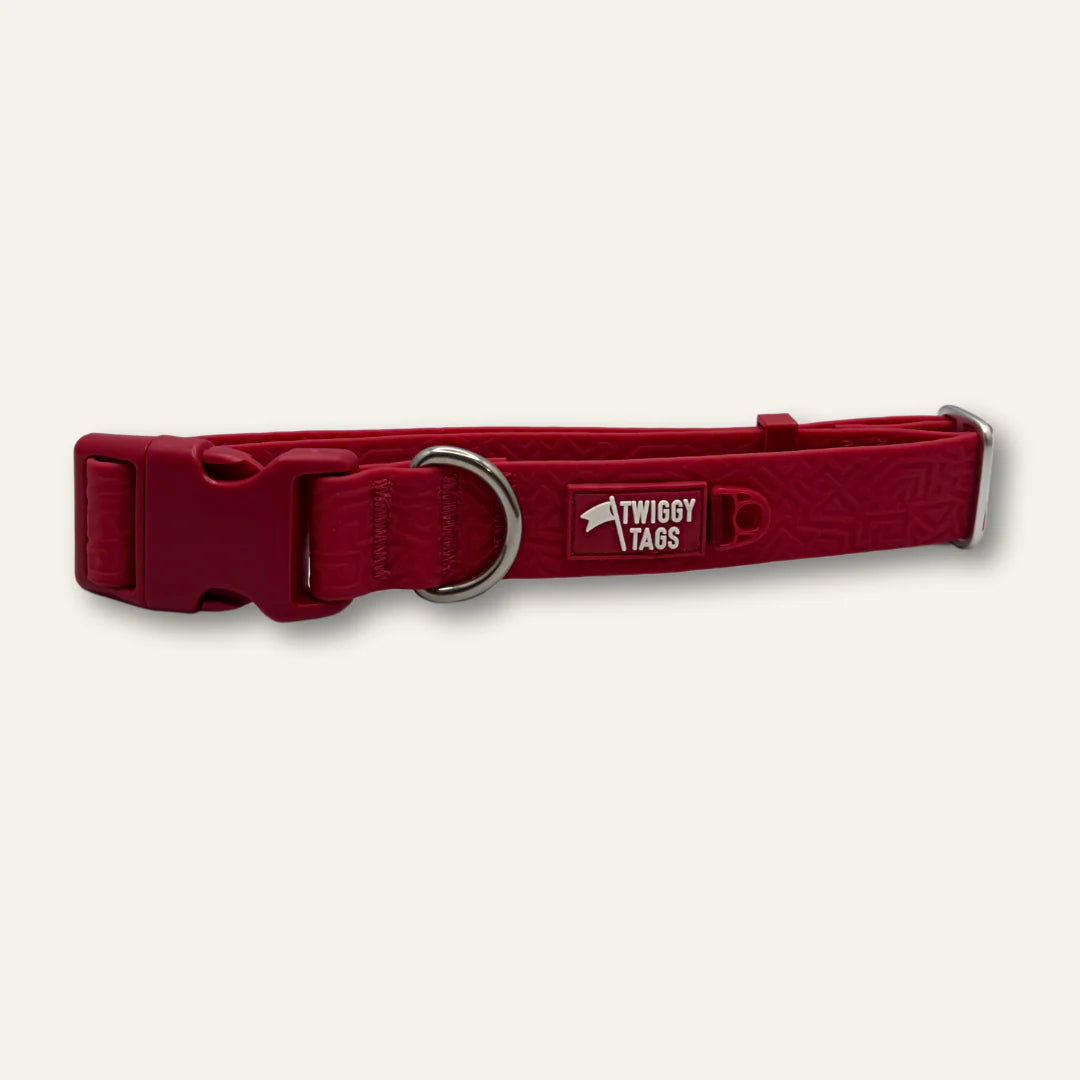 Twiggy Tags Tidal Collar - Fresia – Wildwood Pets