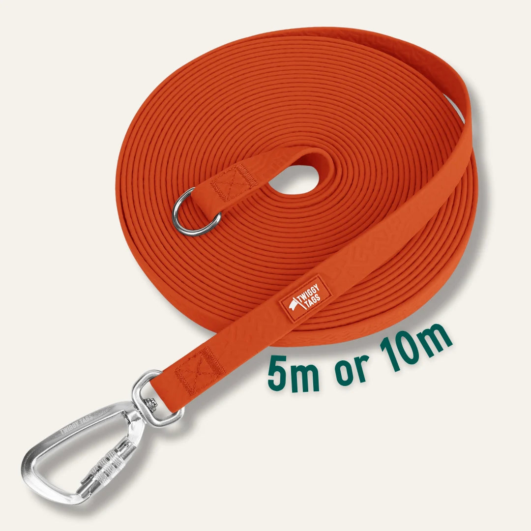 Twiggy Tags Tidal Longline Rust