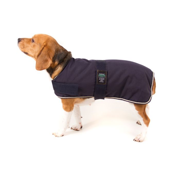 Great&Small Country Padded Blue Coat