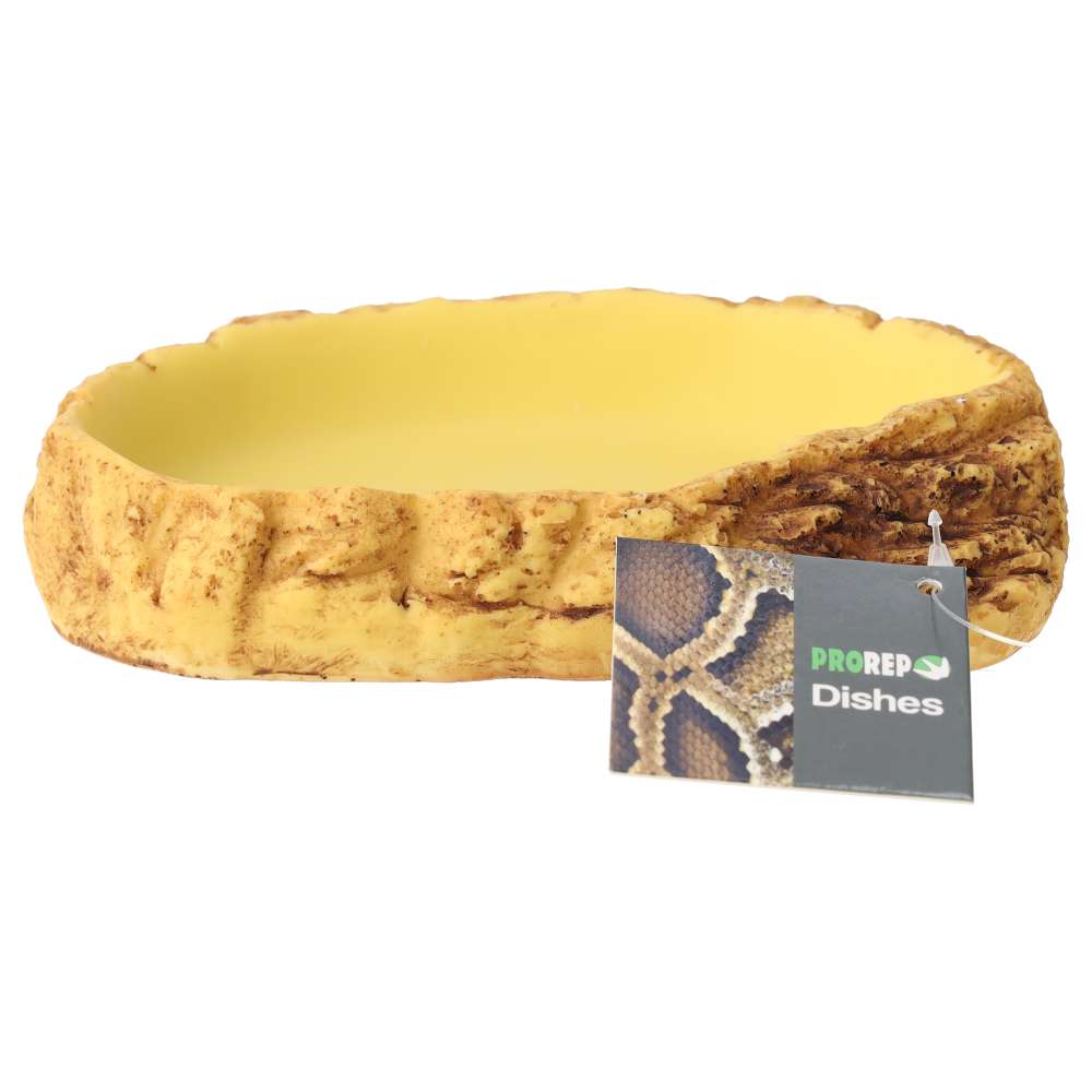 ProRep Easy Clean Pool