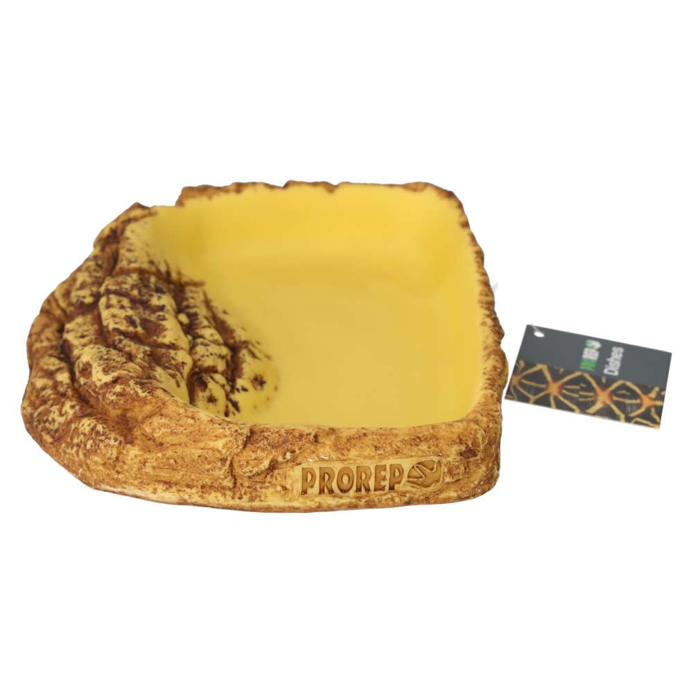 ProRep Tortoise Pool - Small