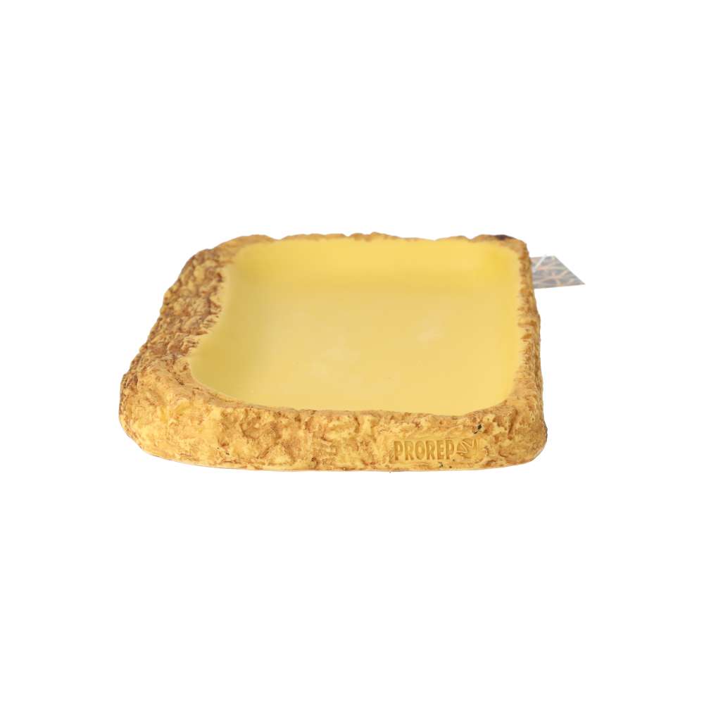 ProRep Tortoise Feed Dish - Large