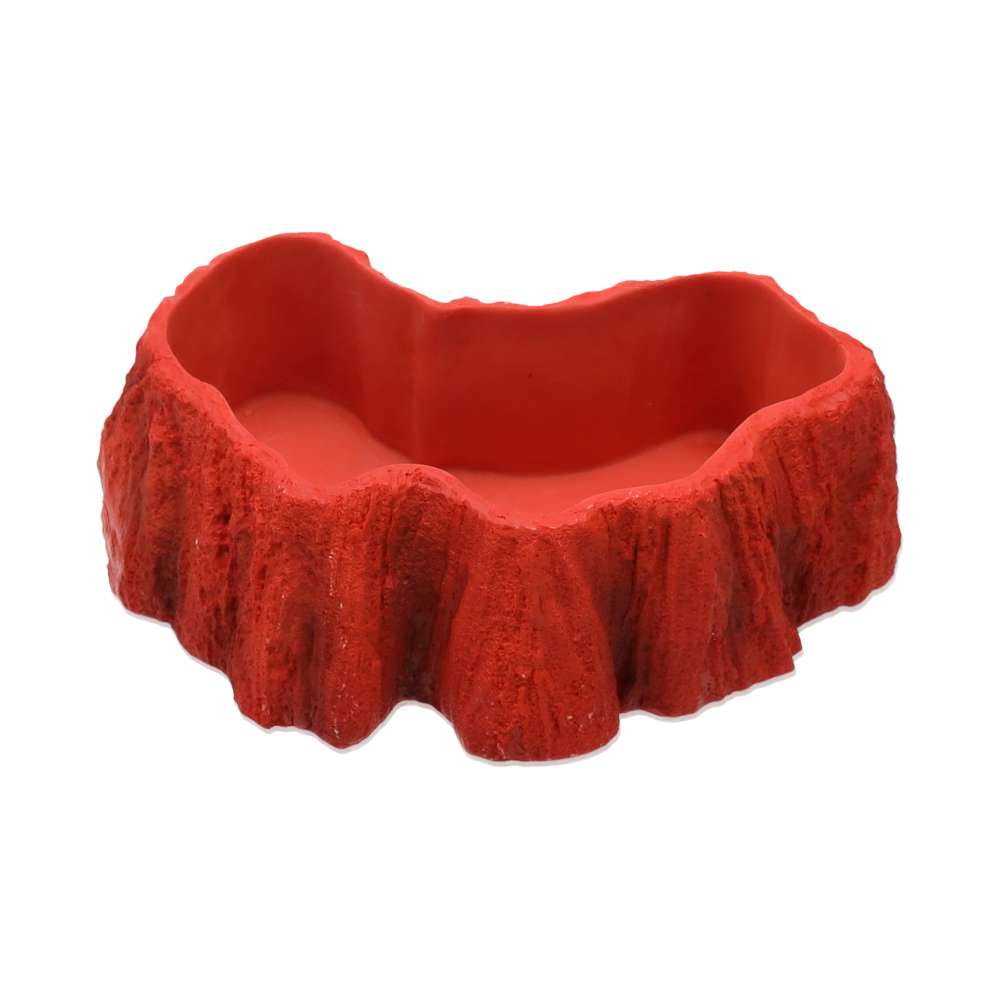 ProRep Beardie Billabong Pool - Small