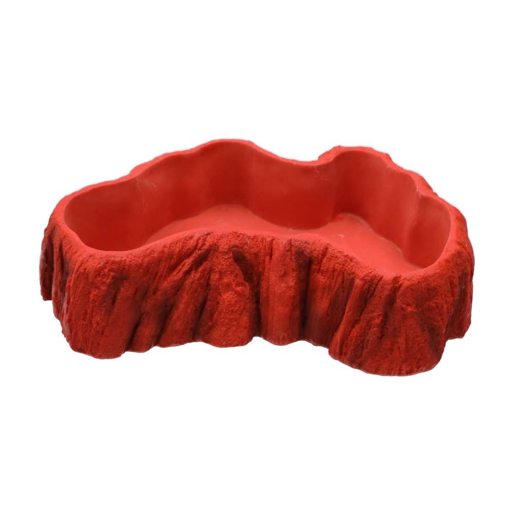 ProRep Beardie Billabong Pool - Large