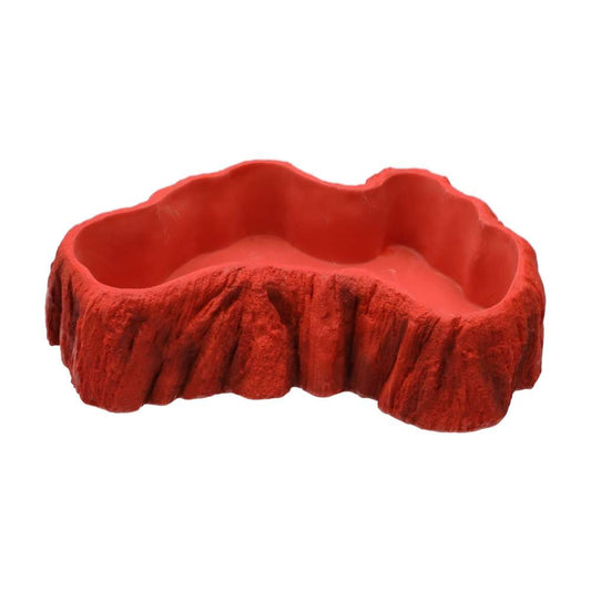 ProRep Beardie Billabong Pool - Large