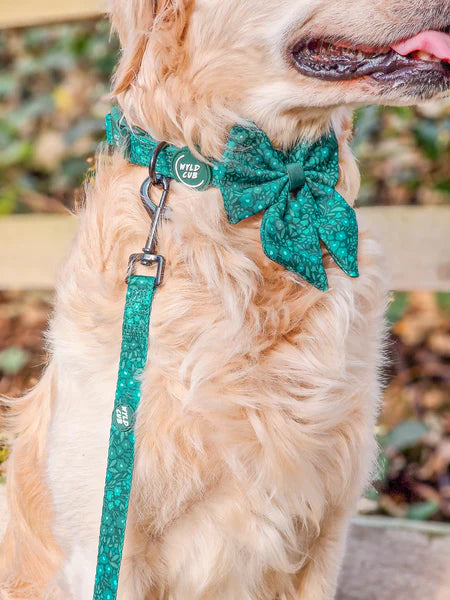 Wyld Cub Notting Hill Lead 5ft - Gooseberry