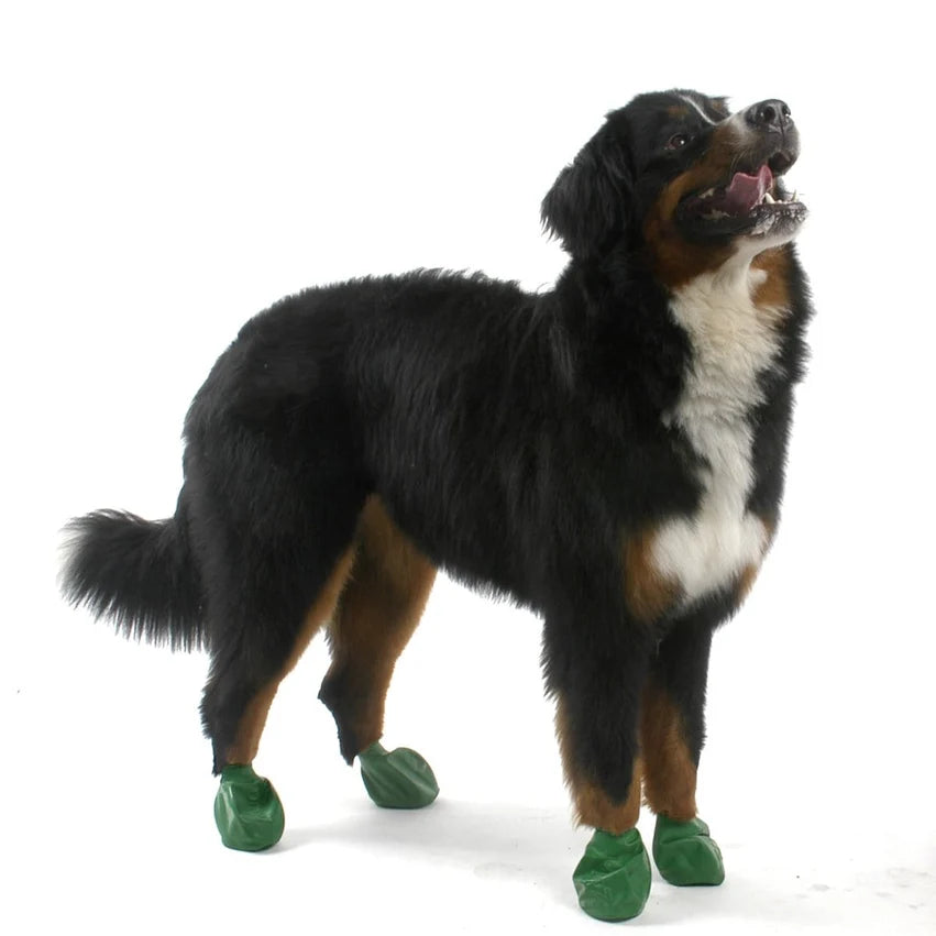 PAWZ Dog Paw Protectors Rubber Boots 12pcs
