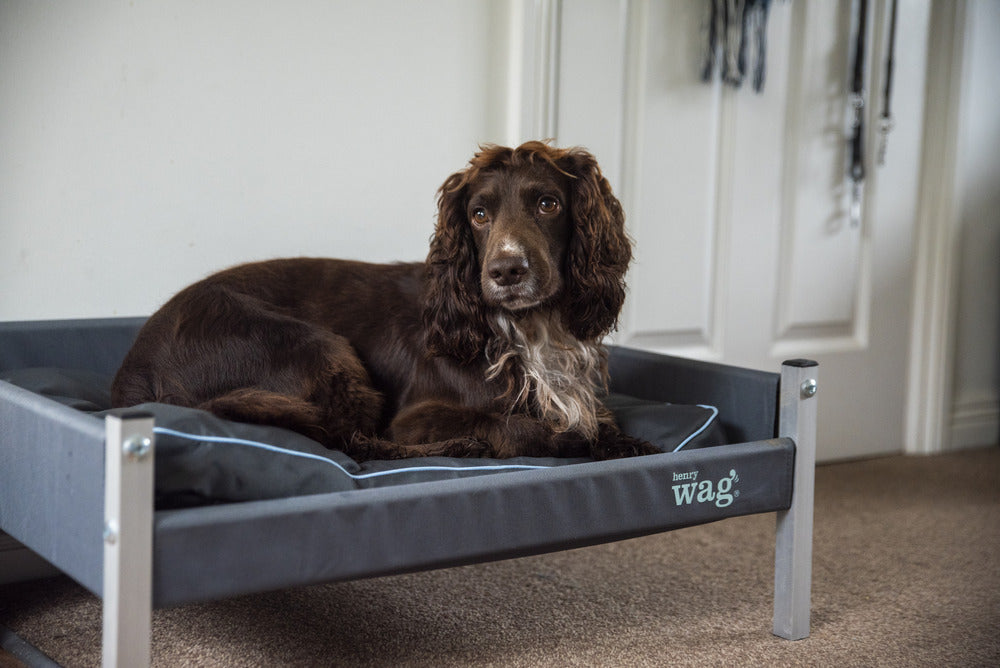 Henry Wag Elevated Dog Bed