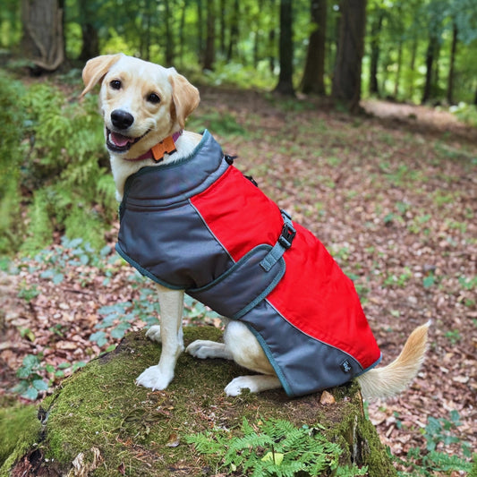 Henry Wag Waterproof Coat Red