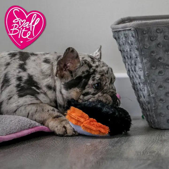 Small Bite Plush Penguin