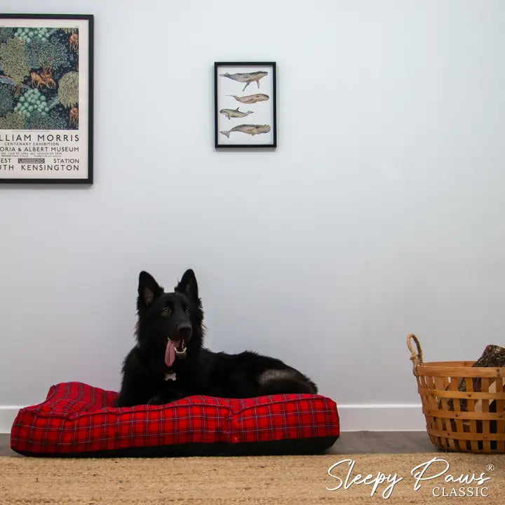 Ancol Red Tartan Mattress 75x60cm