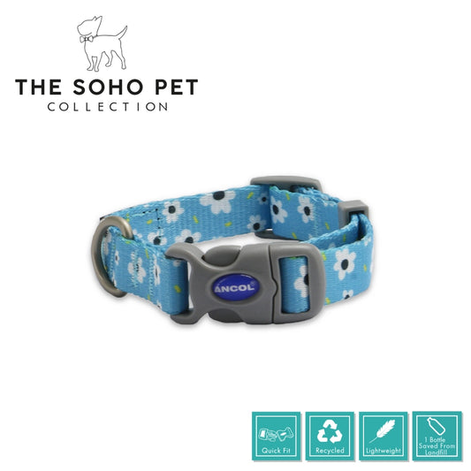 Soho Daisy Collar