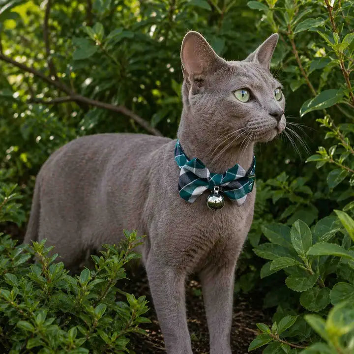 Ancol Green Tartan Bow Tie Cat Collar