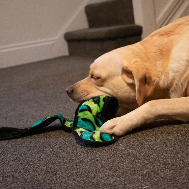 Ancol Playtime No Stuff Squeaky Snake