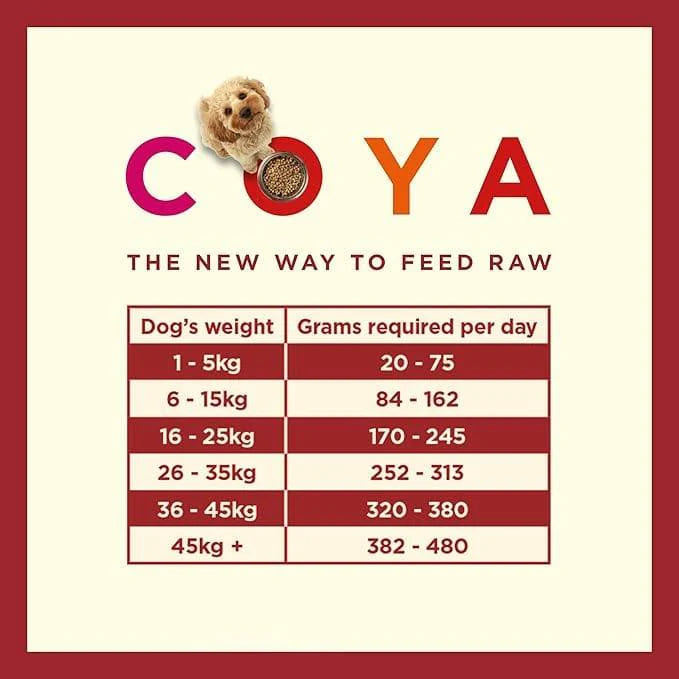 Coya Adult Dog Food - Beef 150g