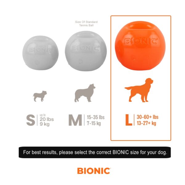 BIONIC Ball Dog Toy