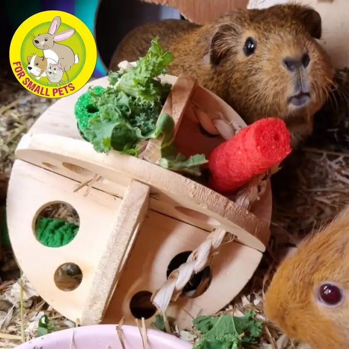 Ancol Small Animal Roll N Chew