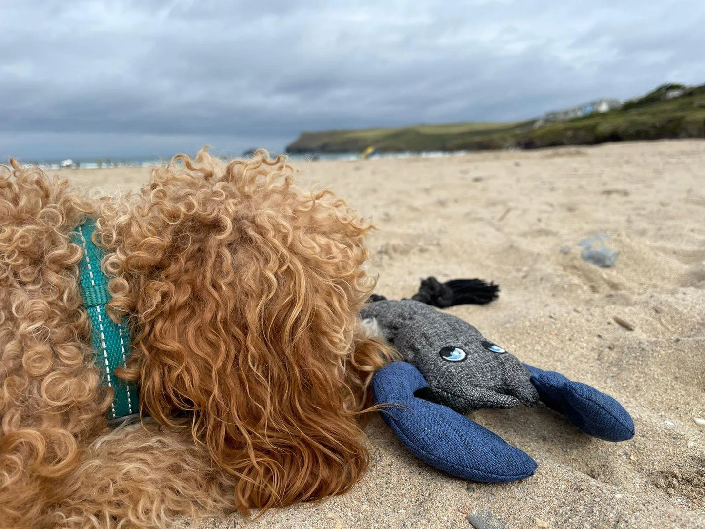 Lobster Dog Toy