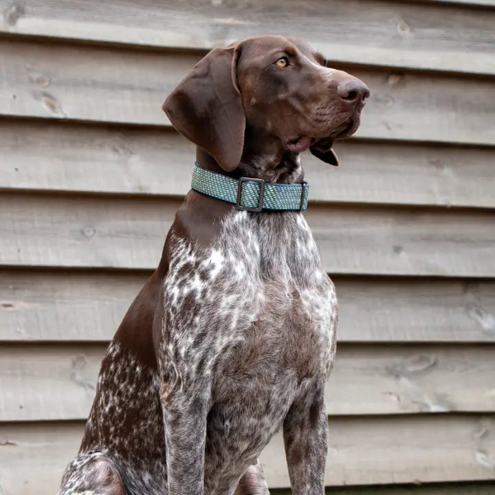 Ancol Extreme+ Collar Handle 37-50cm