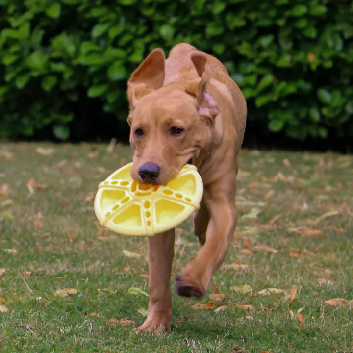 Ancol Jawables Tough Flying Disc