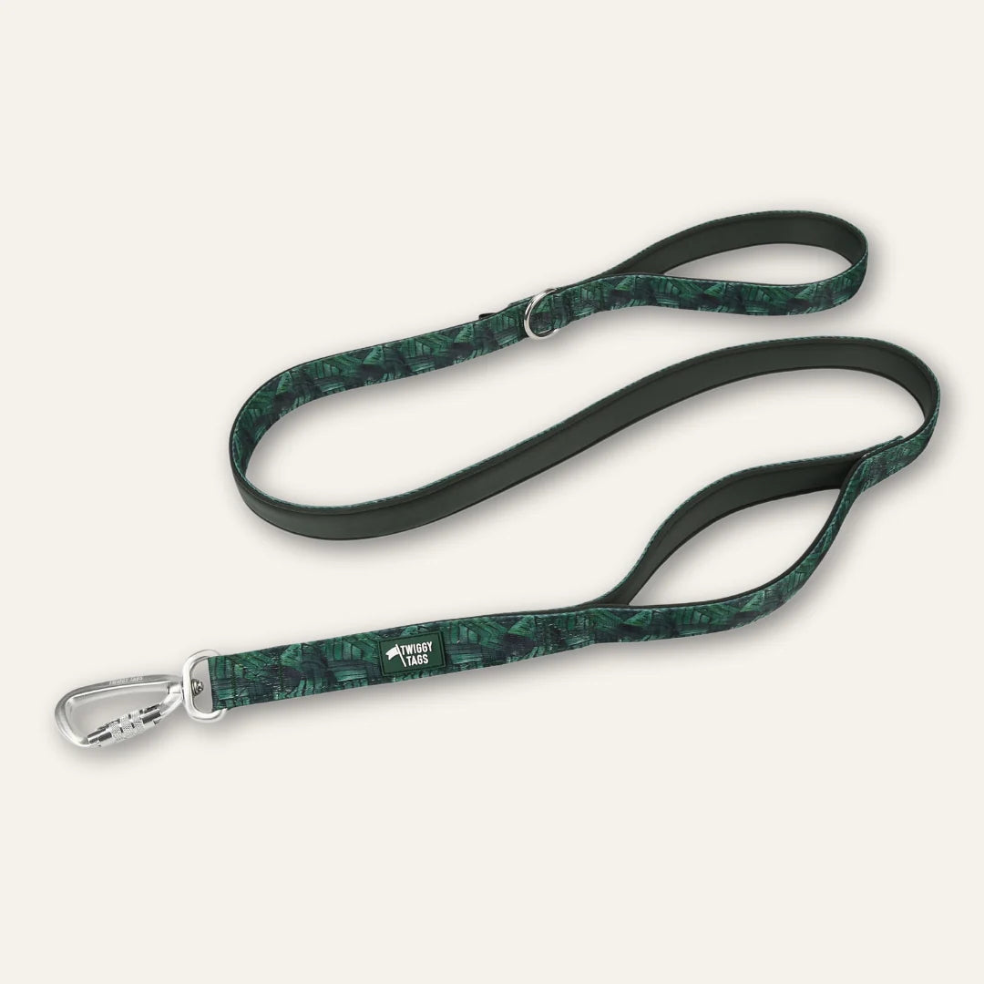 Twiggy Tags Close Control Lead 1.5m - Canopy