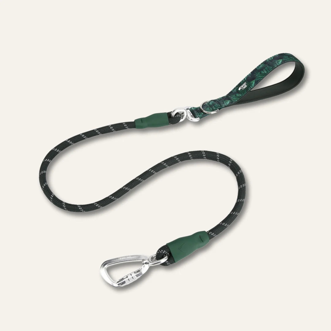 Twiggy Tags Rope Lead 120cm - Canopy