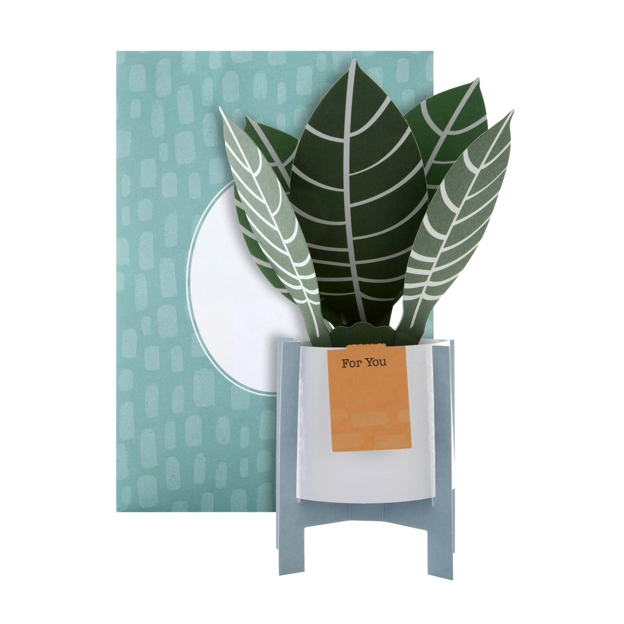 Hallmark Paper Wonder Pop-up Plant Card - Zebra Plant