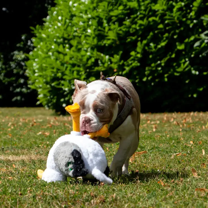 Ancol Made From - Seagull Plush Toy