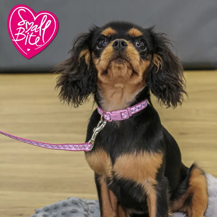 Small Bite Puppy Collar & Lead Set - Reflective Paw Bone