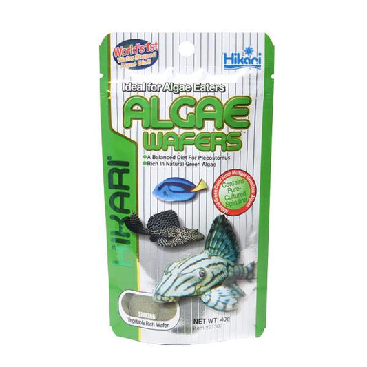 Hikari Algae Wafers [SNG] 40g