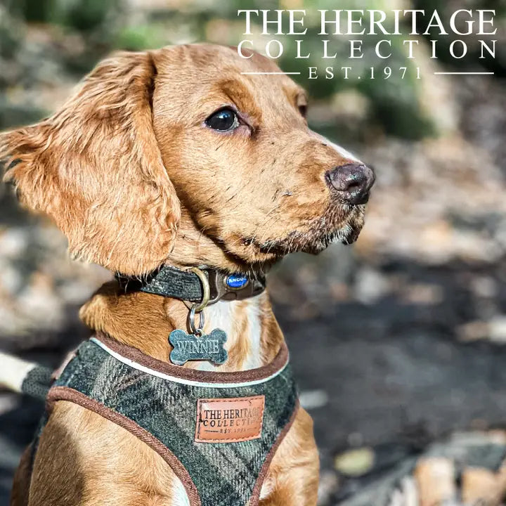 Ancol Raspberry Half Check Collar Ancol Heritage Country Check Collar – Wildwood Pets