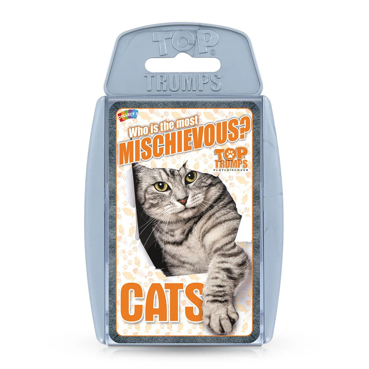 Top Trumps Cats - Who Is The Most Mischievous