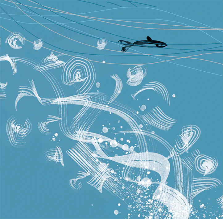 Lydia London - Orca Killer Whale Card