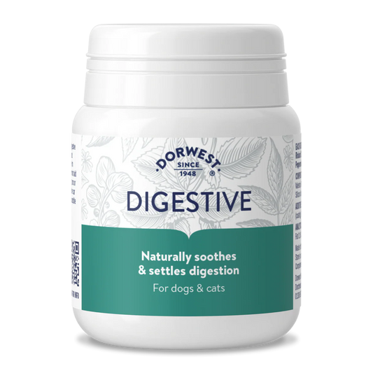 Dorwest Digestive - 100 Tablets