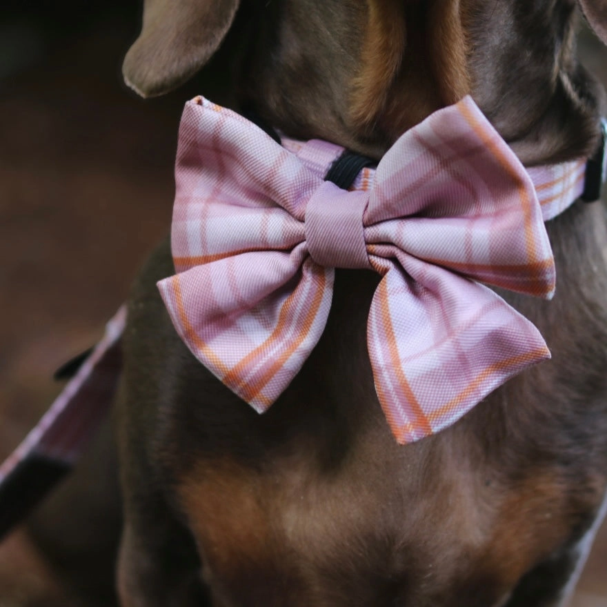 The aDoraBle Pooch Co. Heritage Sailor Bow Tie - Strawberry Cottage