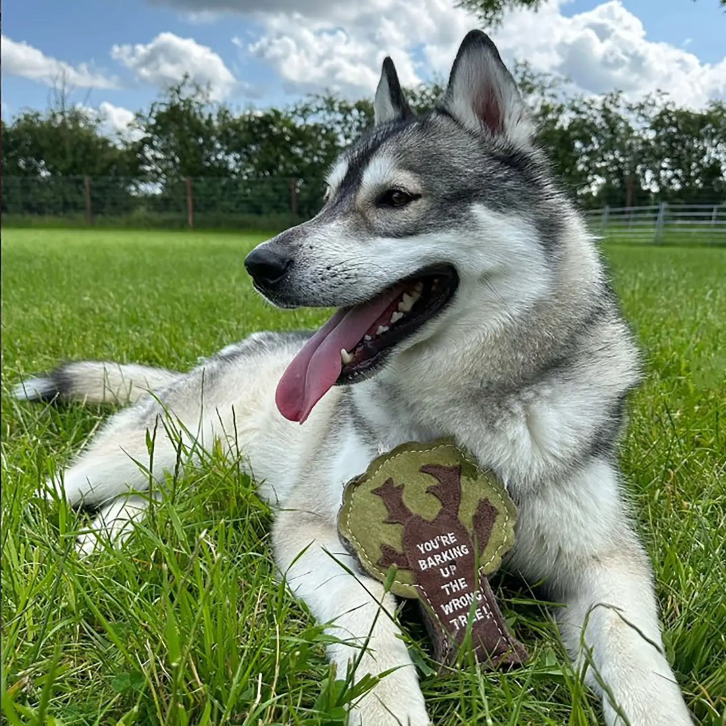 Green & Wild's Barking up the Wrong Tree Eco Toy