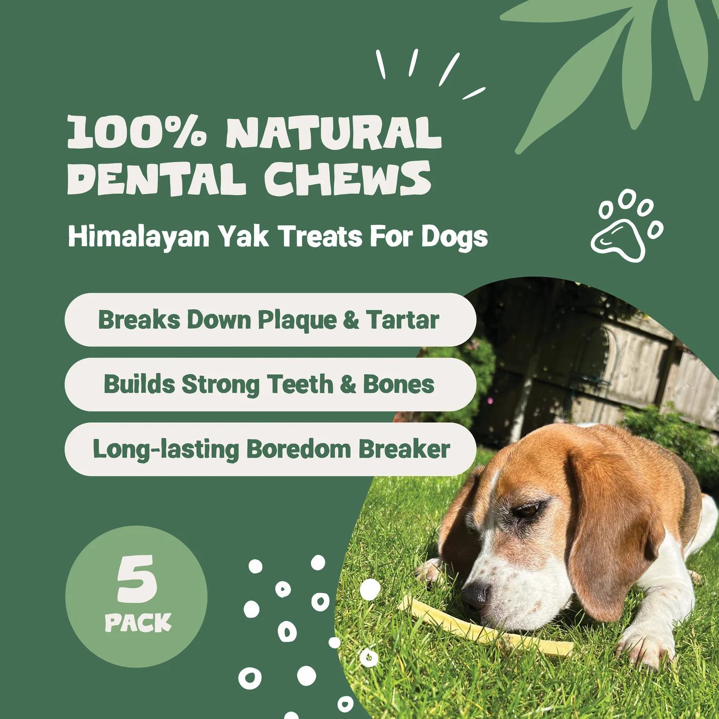 Pets Purest Himalayan Yak Chews Small - 5pk