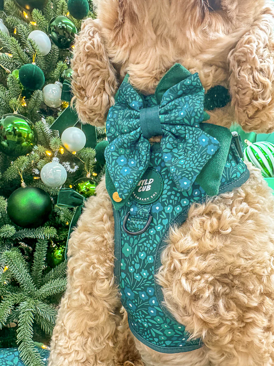 Wyld Cub Notting Hill Butterfly Bow - Gooseberry