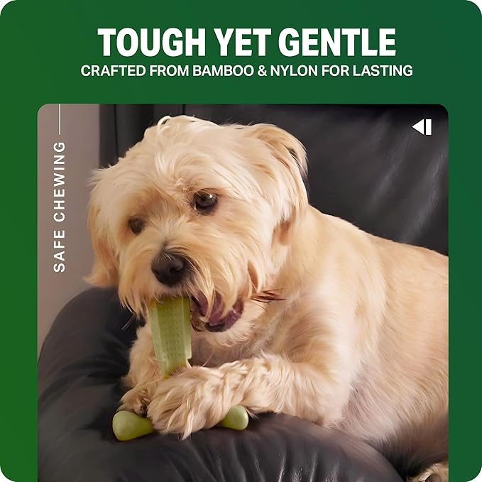 Bamboodles Dental Chew Toy Cheese -