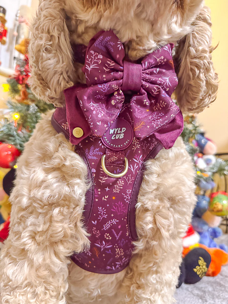 Wyld Cub Chiswick Butterfly Bow - Fig