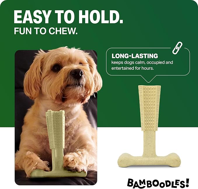 Bamboodles Dental Chew Toy Cheese -