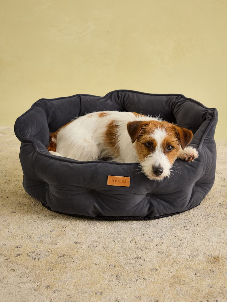 Joules Chesterfield Dog Bed Grey - Small