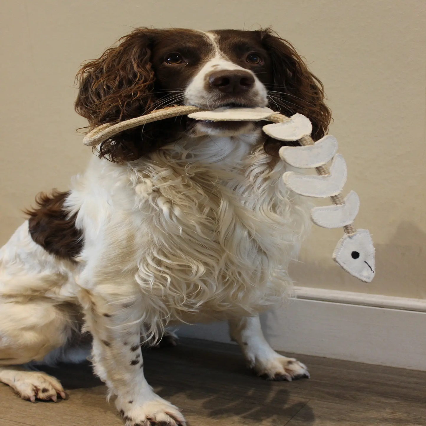 Green & Wild's Thin Lizzie Bonefish Eco Toy