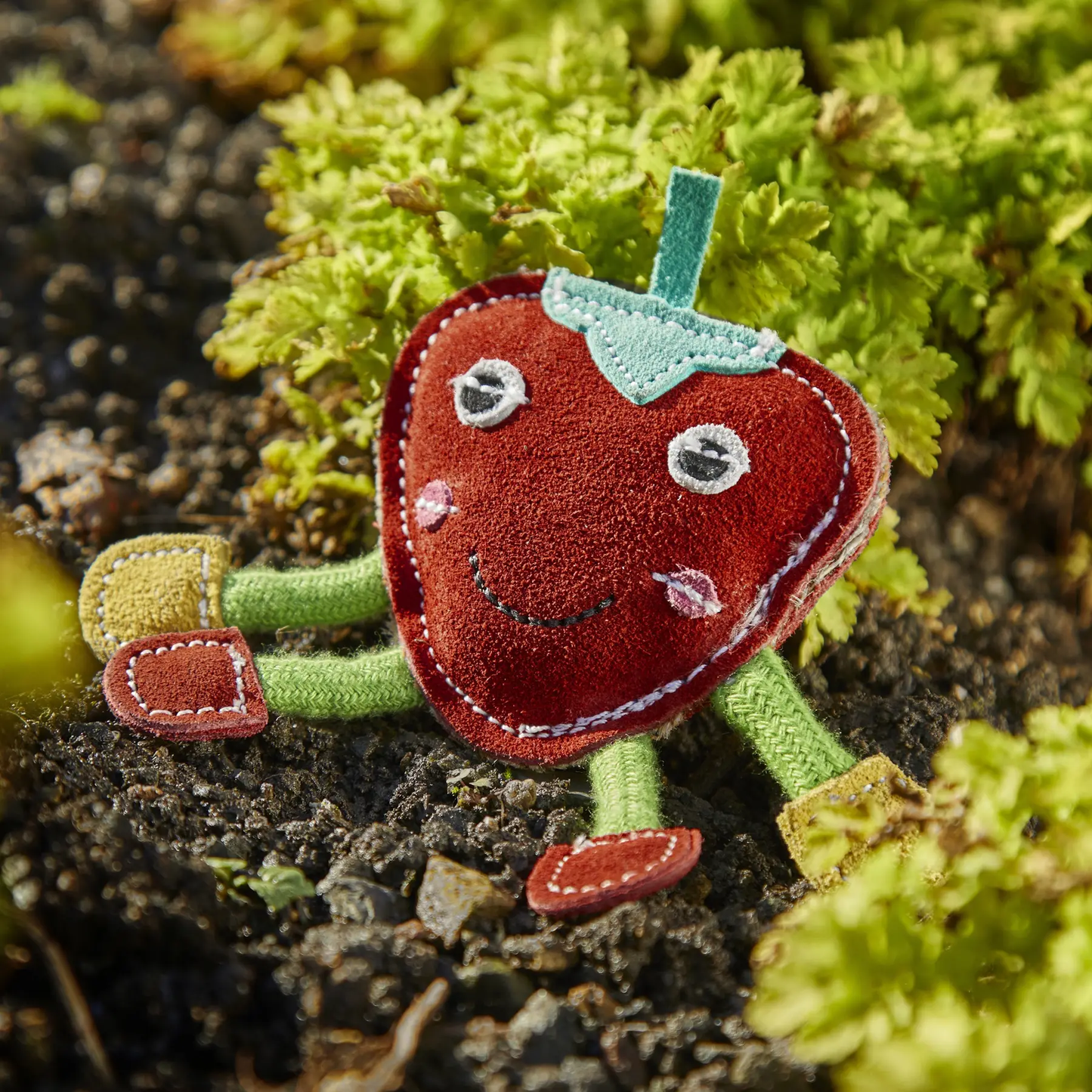 Green & Wild's Steve the Strawberry