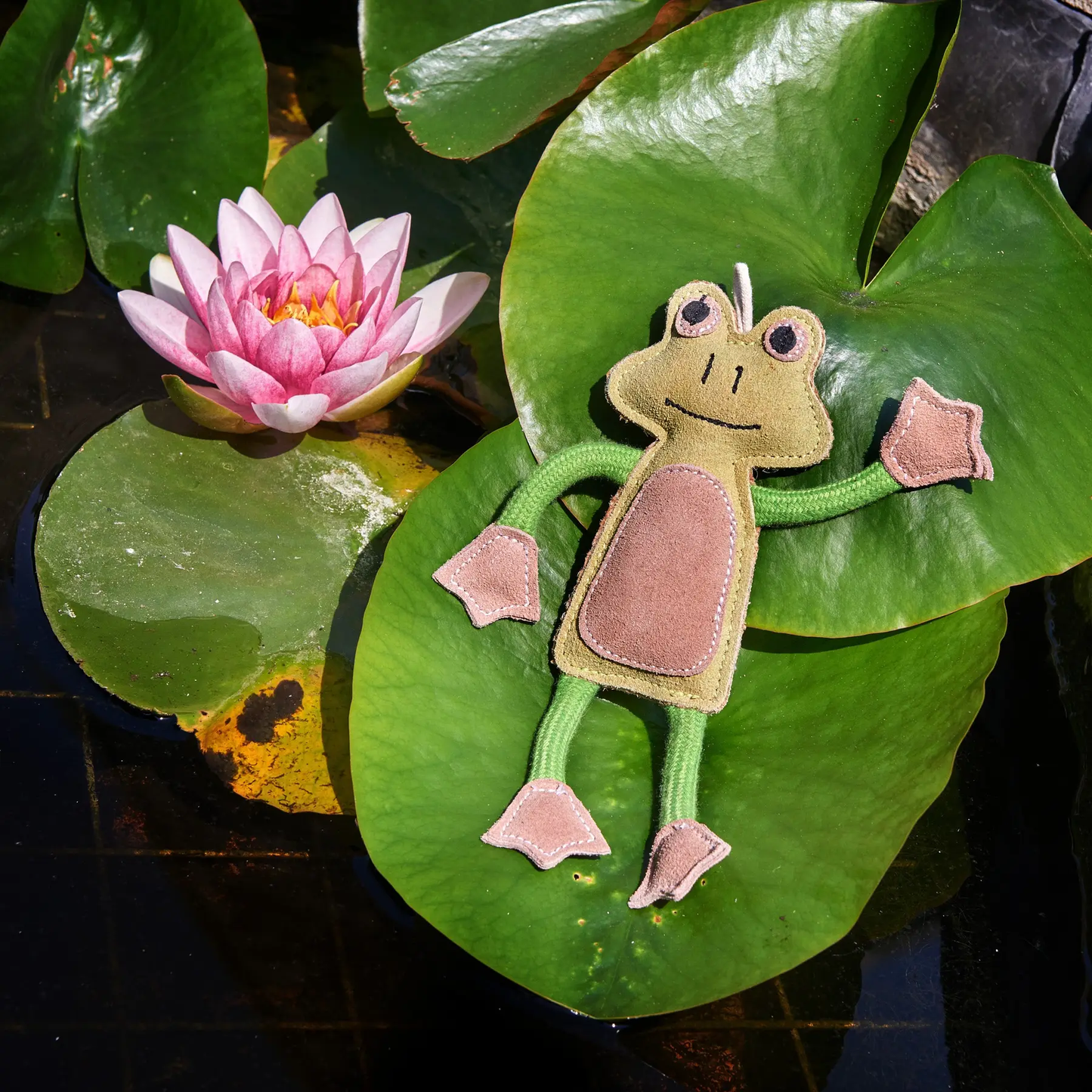 Green & Wild's Francois Le Frog