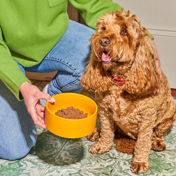 Nutriment Gently Steamed Duck Adult Dog 395g