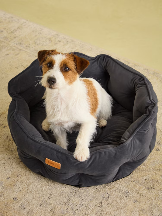 Joules Chesterfield Dog Bed Grey - Small