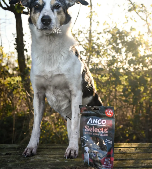 Anco Selects Bites Beef with Collagen 85g