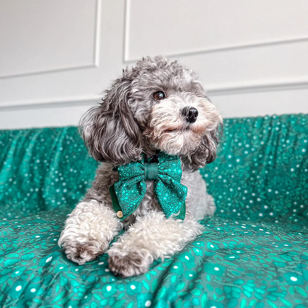 Wyld Cub Pet Blanket - Notting Hill Gooseberry
